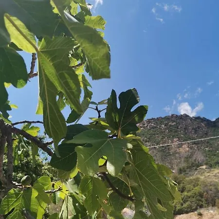 فندق مبيت وإفطار Bentos Di Lucarelli S بولا