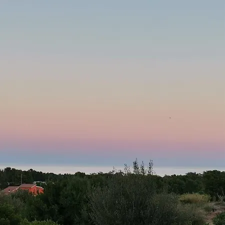 Bentos Di Lucarelli S 4*