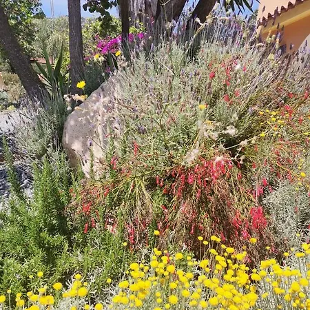 Bentos Di Lucarelli S 4* بولا