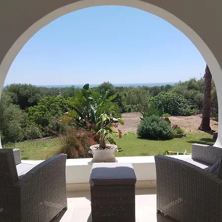 Bentos Di Lucarelli S