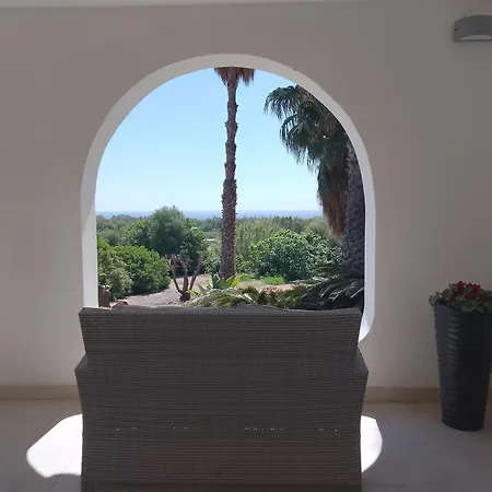 Bentos Di Lucarelli S بولا