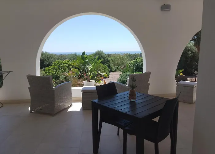 Bentos Di Lucarelli S Couette-café